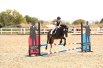 SBM_000704