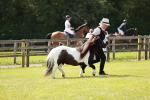SBM_01976