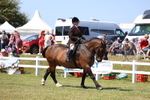 3E7A7445