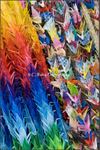 Origami Cranes
