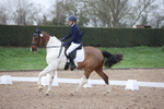 Unaffiliated Dressage portfolio