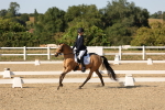 SBM_007028