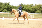 SBM_002988