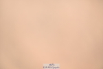 240625A-160530-00077