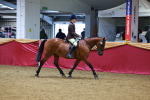 SBM_00284