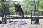 CLASS 6 Newcomers/ 1.10m Open portfolio