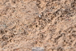 231101A-105708-00059