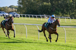 300926-Race 4-Diamont Katie-6505