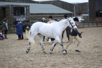 SBM_007286