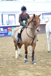SBM_003694