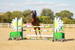 SBM_007920