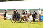 SBM_02542