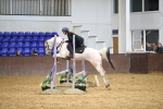 SBM_002576