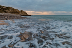 The Cove