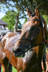 120725-Race 6-Terrorise-0538