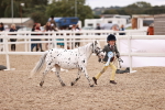 SBM_18640