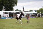 SBM_09915