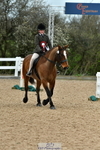 Cls 58 Ridden Gelding portfolio