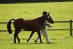 SBM_65568