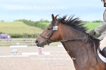 BPP_7513
