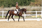 SBM_018305