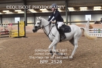 BPP_2528