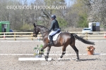 BPP_9368