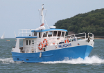 100606 PELICAN IMG_0688