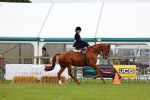 SBM_02952