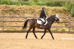 SBM_001001