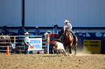 3HRodeo8-11-25_PRCASteer_01778_
