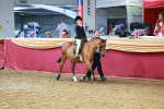 SBM_19778