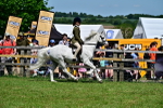 SBM_07770