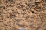 231015A-161412-09272