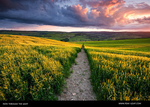 Path through the Light