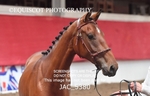 JAC_5380