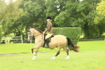 SBM_72036