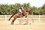SBM_000775