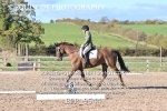 BPP_9544