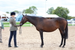 SBM_05762
