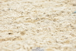 250719A-151042-06702