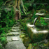 AS025 Enrance to Rivendell