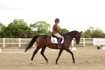 SBM_003203