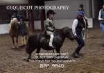 BPP_9840