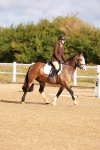SBM_009382