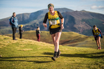 Sale Fell-531