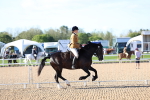 SBM_08768