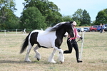WJ7_8110