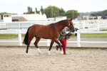 SBM_08537