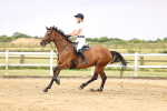SBM_003197